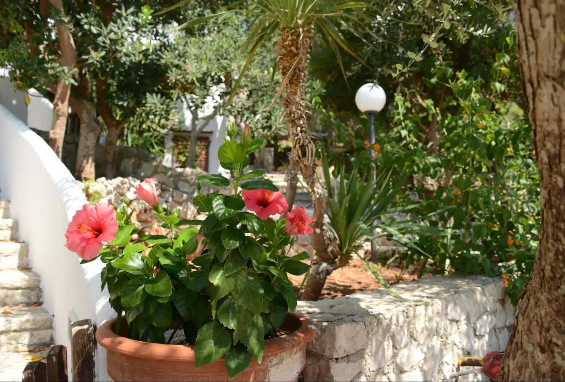 L'Antico Ulivo Villa Santa Cesarea Terme Exteriör bild