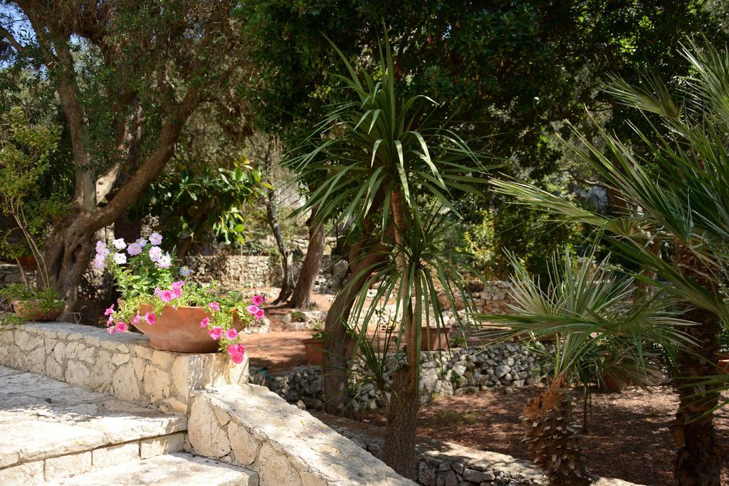 L'Antico Ulivo Villa Santa Cesarea Terme Exteriör bild